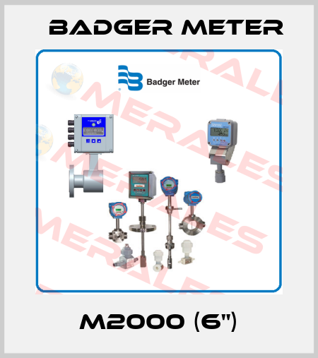 M2000 (6") Badger Meter