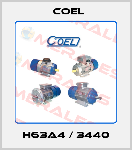 H63A4 / 3440 Coel
