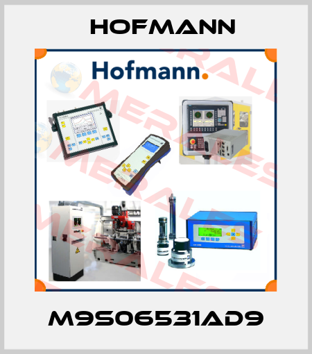 M9S06531AD9 Hofmann