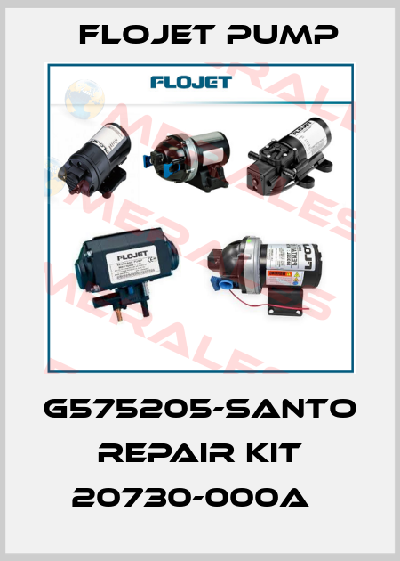 G575205-SANTO Repair kit 20730-000A　 Flojet Pump