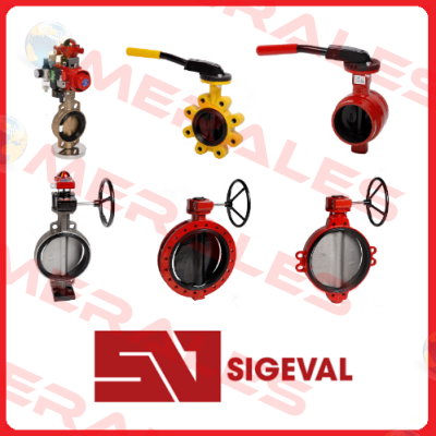 0000000003345 Sigeval