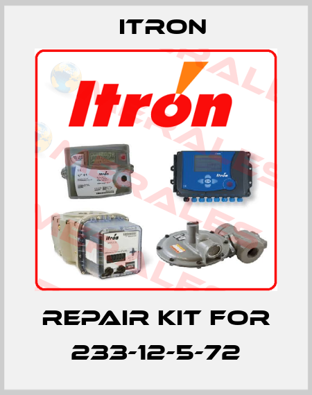 repair kit for 233-12-5-72 Itron