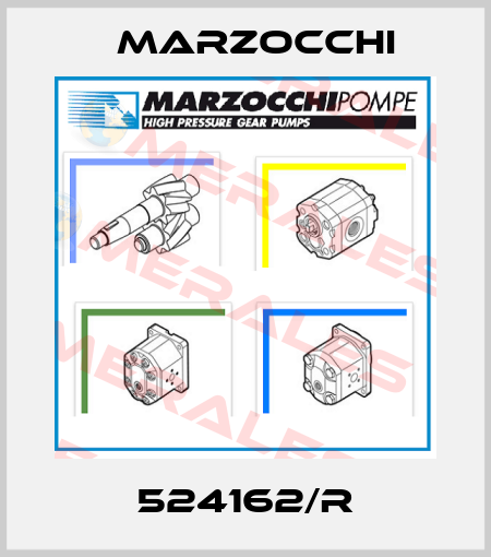 524162/R Marzocchi