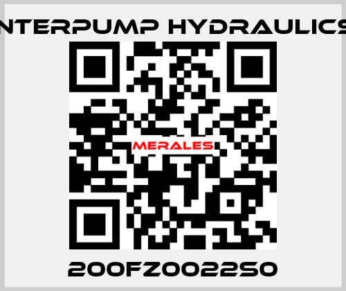 200FZ0022S0 Interpump hydraulics