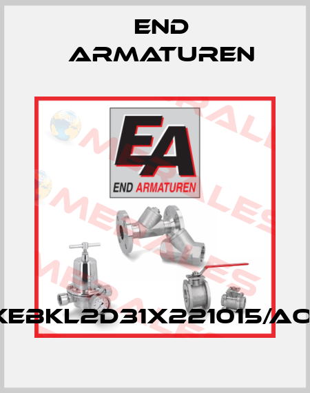 XEBKL2D31x221015/AO1 End Armaturen