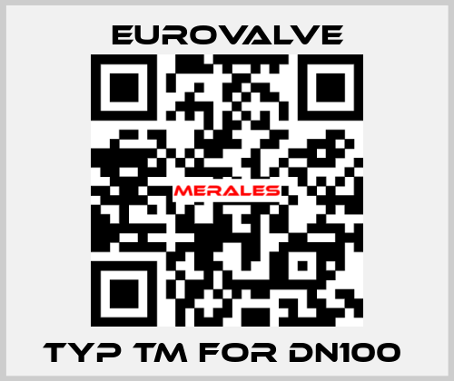 TYP TM FOR DN100  Eurovalve