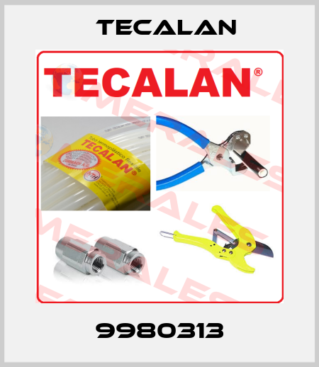 9980313 Tecalan