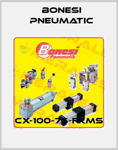 CX-100-75-FKMS Bonesi Pneumatic
