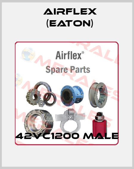 42vC1200 male Airflex (Eaton)