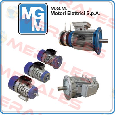 brake for BASV 132 MA4 M.G.M MOTORI