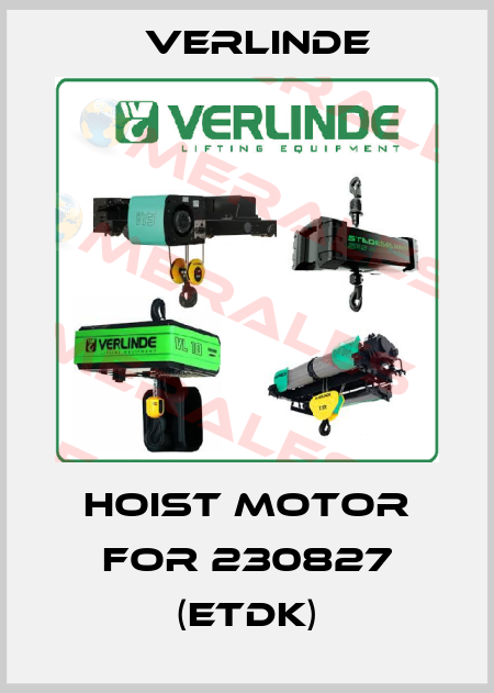 Hoist motor for 230827 (ETDK) Verlinde