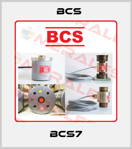 BCS7 Bcs