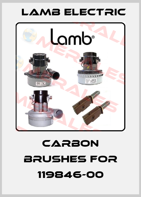 carbon brushes for 119846-00 Lamb Electric