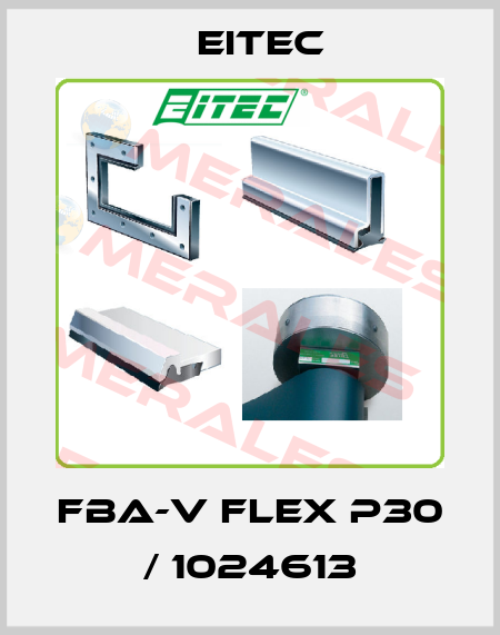 FBA-V FLEX P30 / 1024613 Eitec