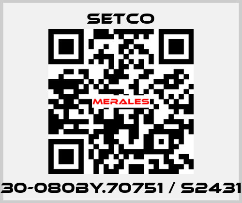 B030-080BY.70751 / S243120 SETCO