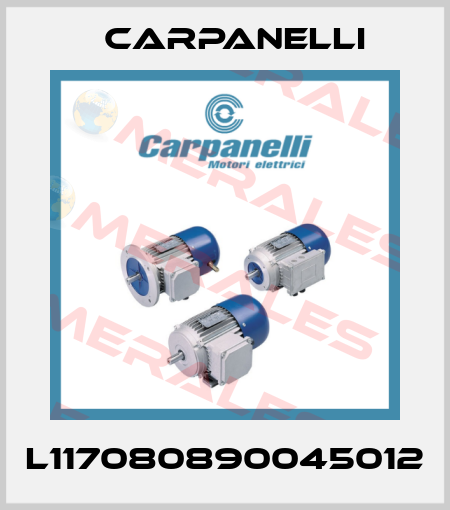 L117080890045012 Carpanelli