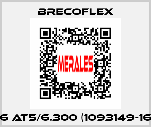 16 AT5/6.300 (1093149-16) Brecoflex