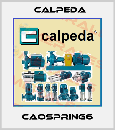 CAOSPRING6 Calpeda