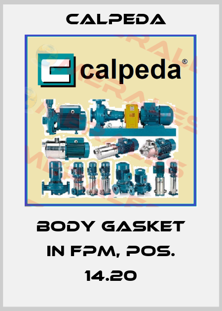 Body gasket in FPM, pos. 14.20 Calpeda