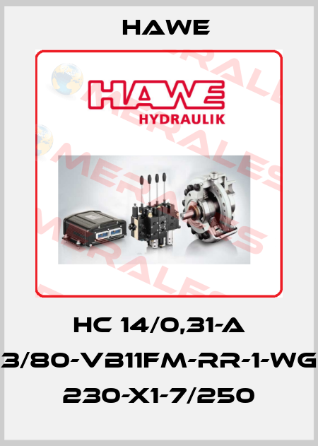HC 14/0,31-A 3/80-VB11FM-RR-1-WG 230-X1-7/250 Hawe