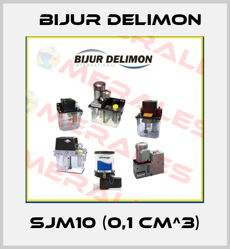 SJM10 (0,1 cm^3) Bijur Delimon
