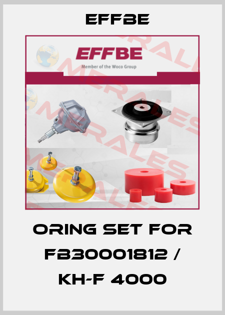 Oring set for FB30001812 / KH-F 4000 Effbe