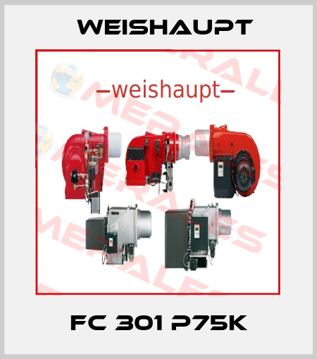 FC 301 P75K Weishaupt