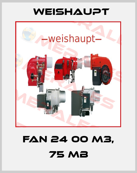 Fan 24 00 m3, 75 mb Weishaupt