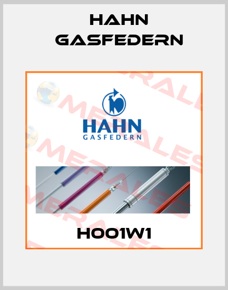 H001W1 Hahn Gasfedern