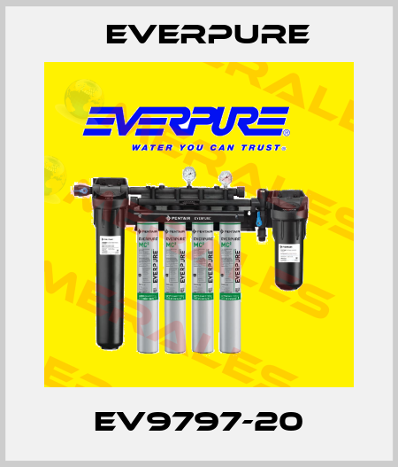 EV9797-20 Everpure