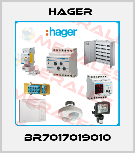 BR7017019010 Hager