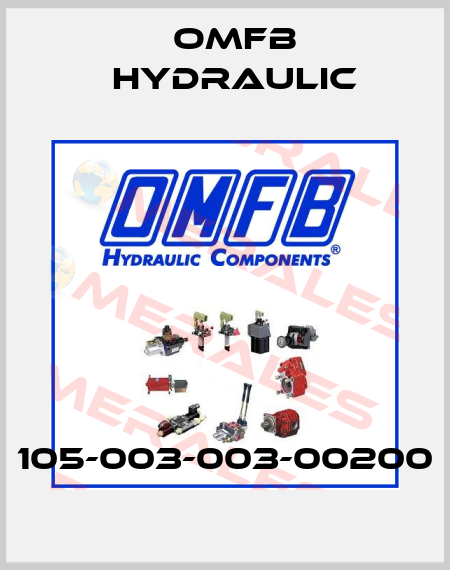 105-003-003-00200 OMFB Hydraulic