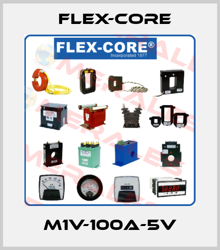 M1V-100A-5V Flex-Core