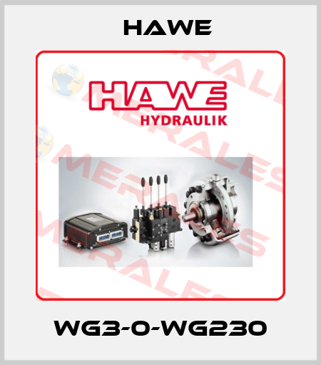 WG3-0-WG230 Hawe