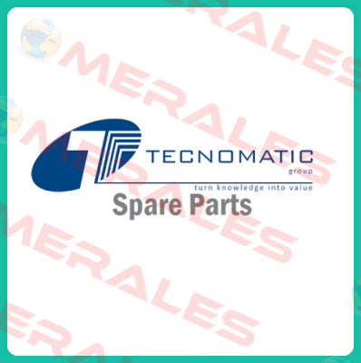 P55 P MTTPT1 AB Tecnomatic Italia