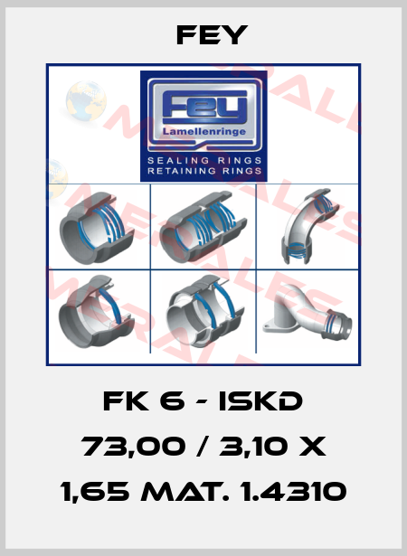 FK 6 - ISKD 73,00 / 3,10 x 1,65 Mat. 1.4310 Fey