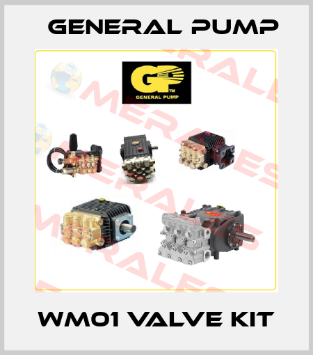 WM01 VALVE KIT General Pump
