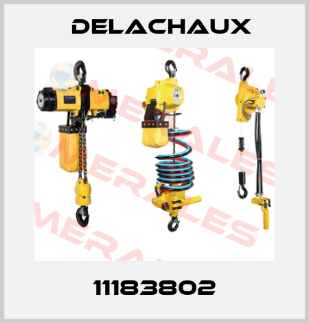 11183802 Delachaux
