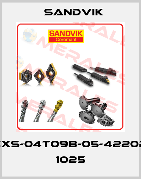 CXS-04T098-05-4220R 1025 Sandvik