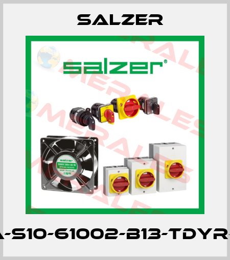 10A-S10-61002-B13-TDYR-50 Salzer