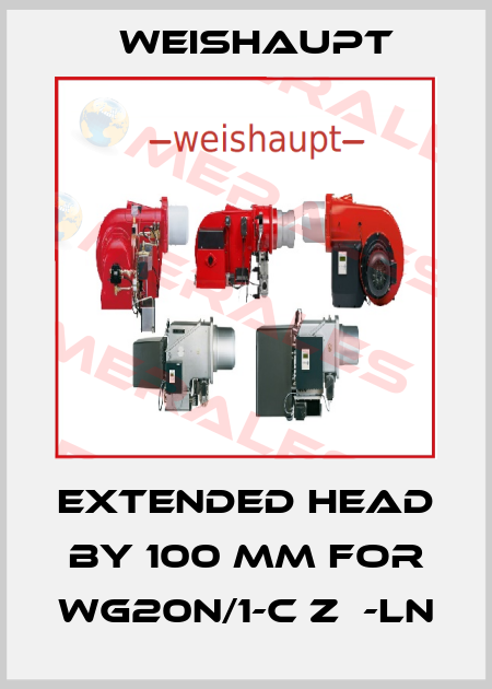 Extended head by 100 mm for WG20N/1-C ZМ-LN Weishaupt