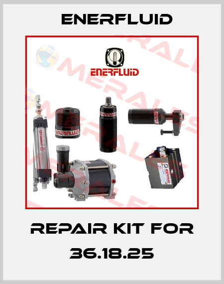 Repair kit for 36.18.25 Enerfluid