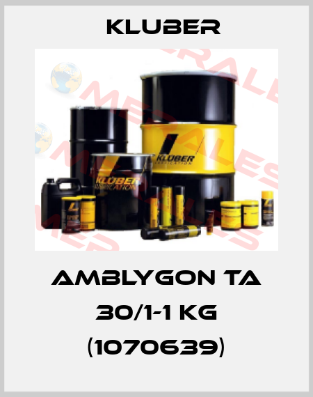 Amblygon TA 30/1-1 kg (1070639) Kluber
