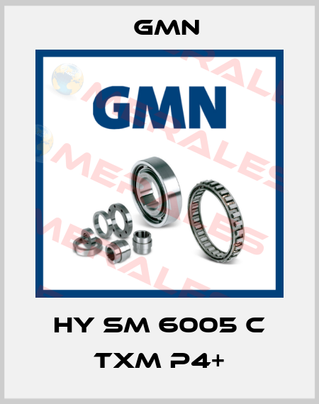 HY SM 6005 C TXM P4+ Gmn