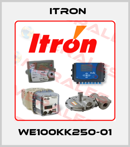 WE100KK250-01 Itron