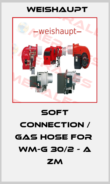 Soft connection / gas hose for  WM-G 30/2 - A ZM Weishaupt