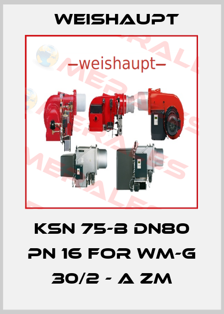 KSN 75-B DN80 PN 16 for WM-G 30/2 - A ZM Weishaupt