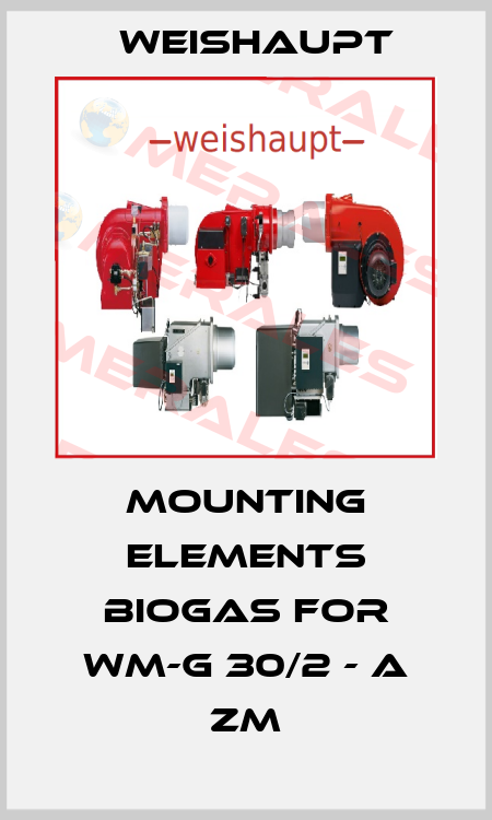 Mounting elements biogas for WM-G 30/2 - A ZM Weishaupt