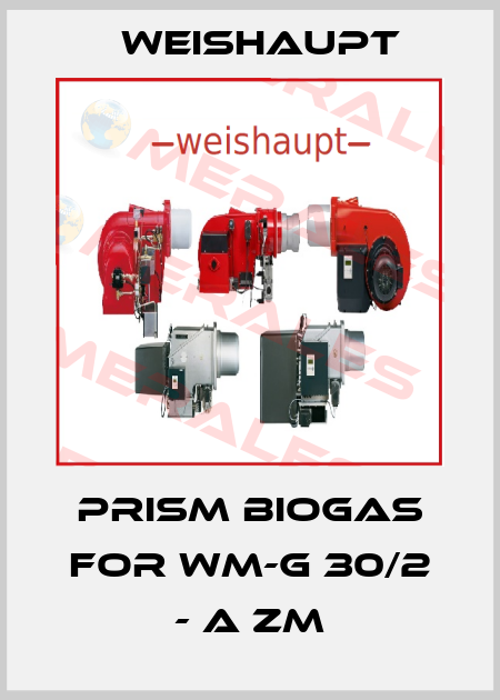 Prism biogas for WM-G 30/2 - A ZM Weishaupt