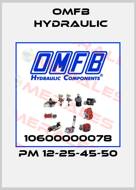 10600000078 PM 12-25-45-50 OMFB Hydraulic